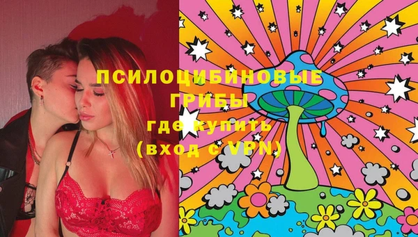 герыч Бикин