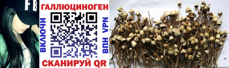 Галлюциногенные грибы Magic Shrooms дарнет шоп Вичуга