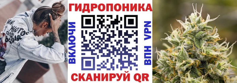 Канабис планчик Вичуга